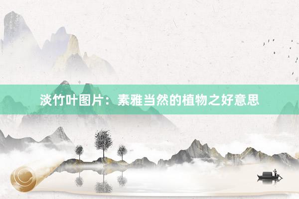 淡竹叶图片：素雅当然的植物之好意思