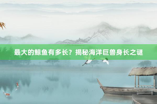 最大的鲸鱼有多长？揭秘海洋巨兽身长之谜